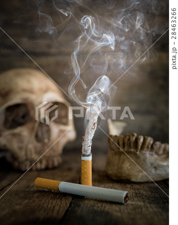 Still life skull and cigarette burned with smoke Still life skull and cigarette burned with smoke 28463266