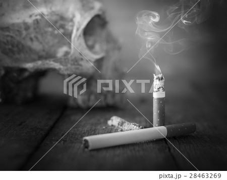 Still life skull and cigarette burned with smoke  28463269