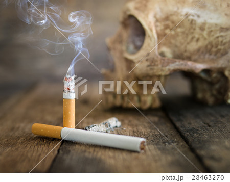 Still life skull and cigarette burned with smoke Still life skull and cigarette burned with smoke 28463270
