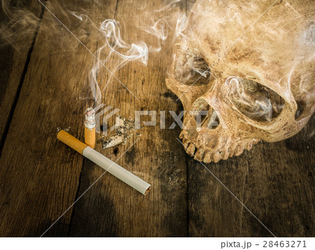 Still life skull and cigarette burned with smoke Still life skull and cigarette burned with smoke 28463271