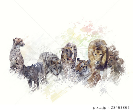 Wild Animals Watercolor 28463362