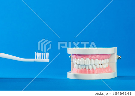 歯ブラシ デンタルケア 歯ブラシ デンタルケア 28464141