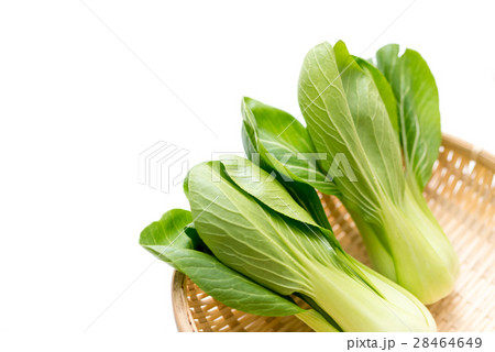 青梗菜 青梗菜 28464649