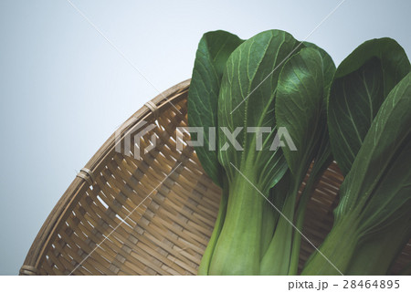 青梗菜 青梗菜 28464895