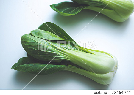青梗菜 28464974