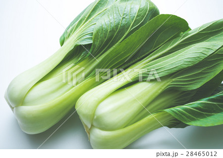 青梗菜 28465012