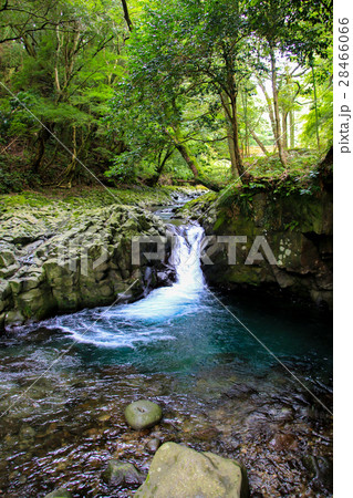 河津七滝 河津七滝 28466066