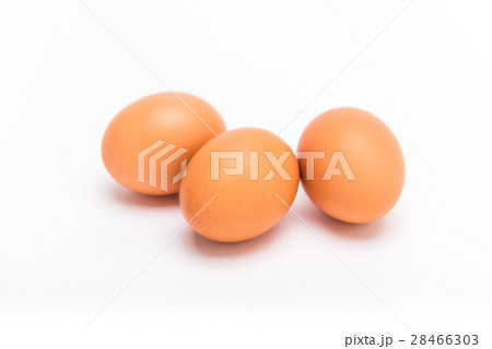 タマゴ タマゴ 28466303