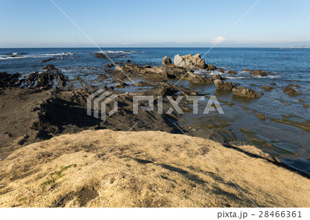 葉山御用邸前から磯と富士山 葉山御用邸前から磯と富士山 28466361