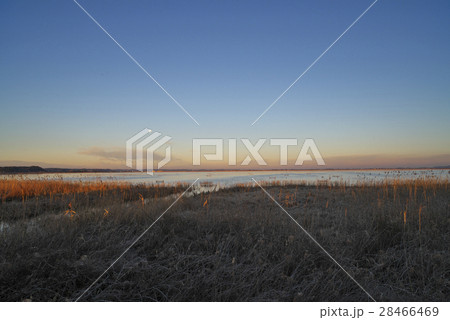 朝の印旛沼北部調整池 28466469