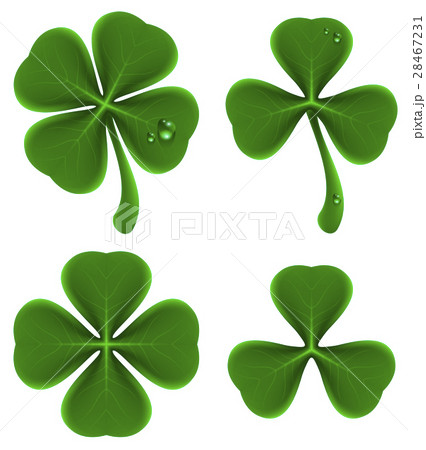 Set of green leaves of clover. Shamrock and Set of green leaves of clover. Shamrock and 28467231