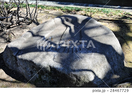 九品仏浄真寺　仏足石 28467729