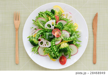サラダ 28468949