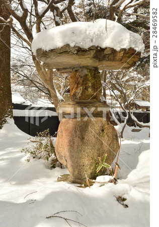 角館散歩：武家屋敷通り　青柳家庭内 28469582
