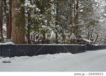 角館散歩：武家屋敷通り　石黒家黒板塀 28469623