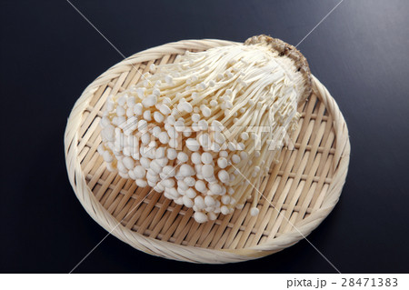 えのき茸 28471383