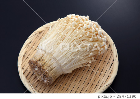 えのき茸 28471390