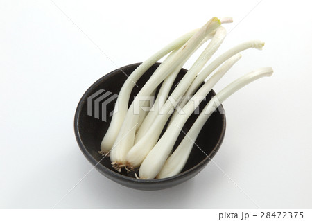 エシャロット エシャロット 28472375