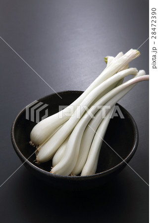 エシャロット エシャロット 28472390