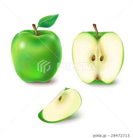 Vector illustration of a juicy green apple. 28472713