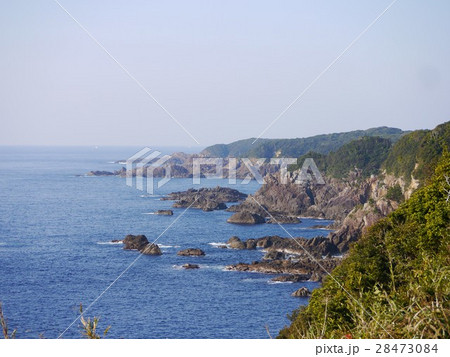 海金剛 和歌山 海金剛 和歌山 28473084