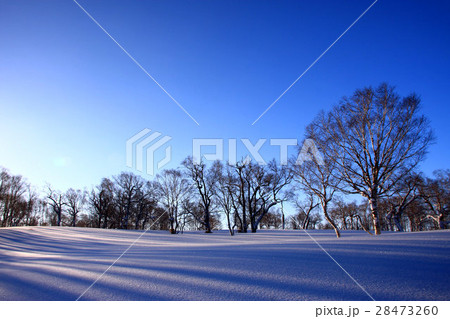 朝の雪原～蓬莱山の冬景色 28473260