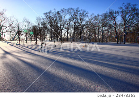 朝の雪原~蓬莱山の冬景色 朝の雪原~蓬莱山の冬景色 28473265