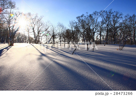 朝の雪原～蓬莱山の冬景色 28473266