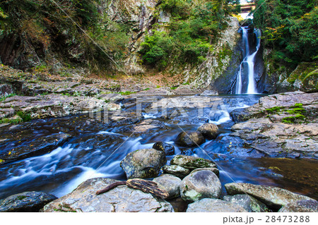 龍頭泉の紅葉　長崎県東彼杵町 28473288