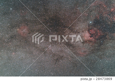 はくちょう座からケフェウス座の天の川 はくちょう座からケフェウス座の天の川 28473869