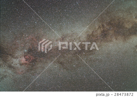 はくちょう座と天の川 28473872