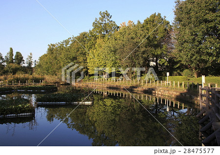 川口自然公園 川口市 の写真素材