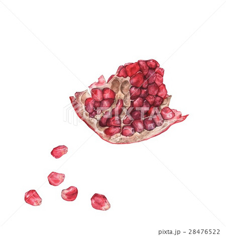 Slice the pomegranate with grains. 28476522