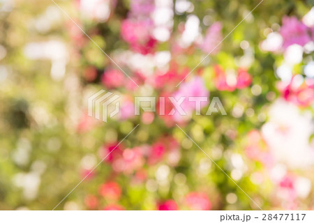 Natural blurred bokeh background. 28477117