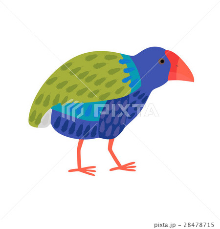 Takahe flightless bright bird 28478715