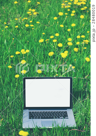 laptop in the grass field with screen for text 28480019