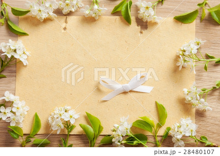 card card 28480107