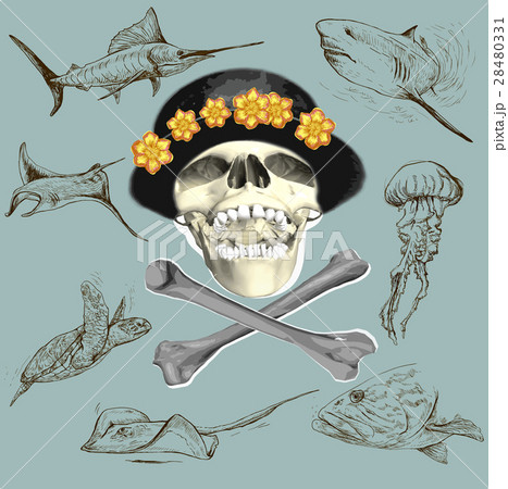 Pirate skull and underwater life Hand drawn vector 28480331