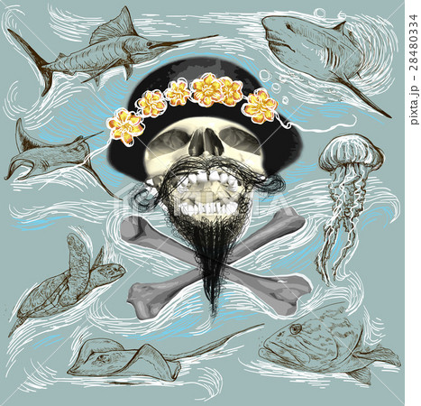 Pirate skull and underwater life Hand drawn vector Pirate skull and underwater life Hand drawn vector 28480334
