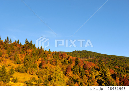 Autumn landscape 28481963