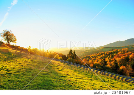 Autumn landscape Autumn landscape 28481967