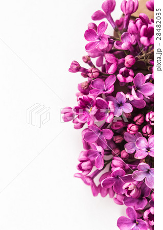 White background half filled with close up White background half filled with close up 28482035