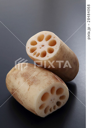 れんこん 28484068