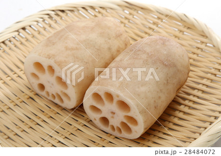 れんこん 28484072