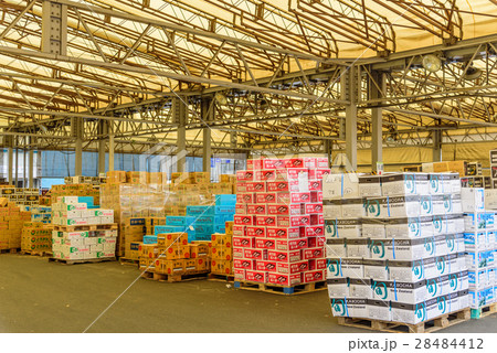 横浜市中央卸売市場本場 28484412