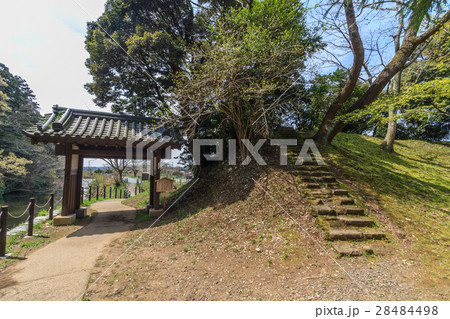 春の佐倉城跡の出丸跡の風景 春の佐倉城跡の出丸跡の風景 28484498