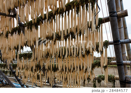 寒干し大根 寒干し大根 28484577