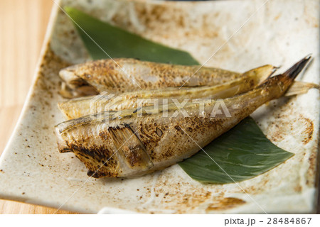 鰰の炙り焼き 鰰の炙り焼き 28484867