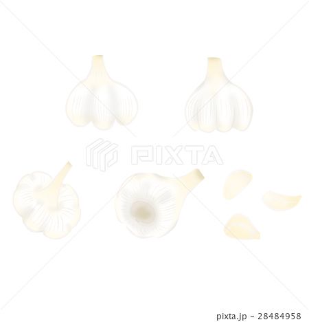 にんにく イラストのイラスト素材