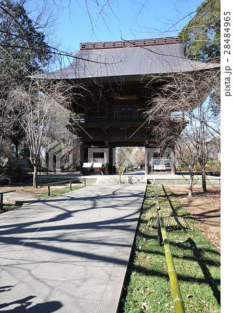 九品仏浄真寺　仁王門 28484965